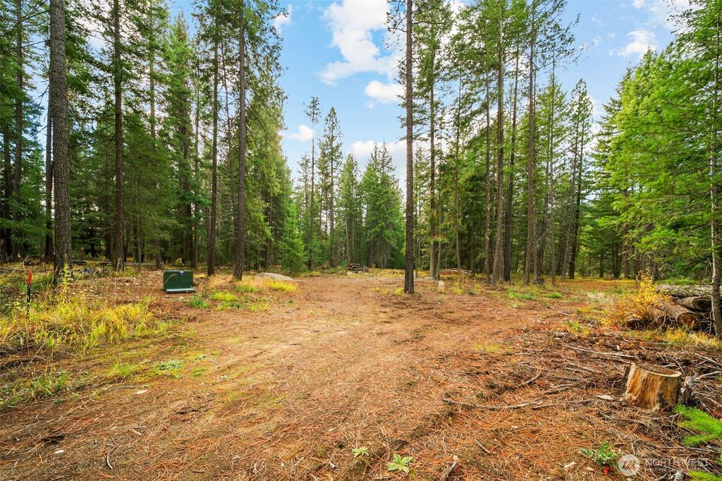 Photo of 0 S Shugart Flats Road, Leavenworth, WA 98826 (MLS # 2499686)