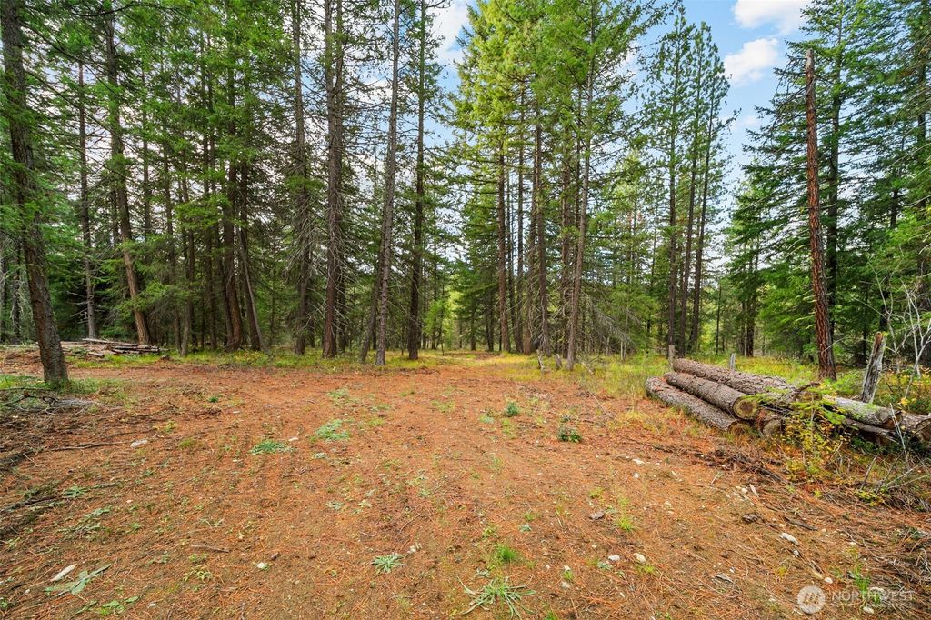 Photo of 0 S Shugart Flats Road, Leavenworth, WA 98826 (MLS # 2499686)