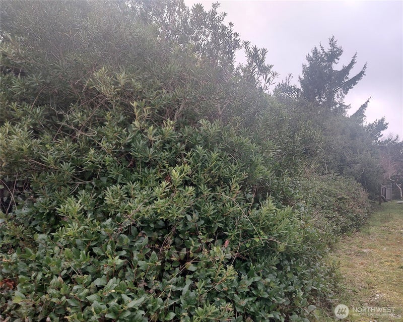 601 Ocean Shores Boulevard SW