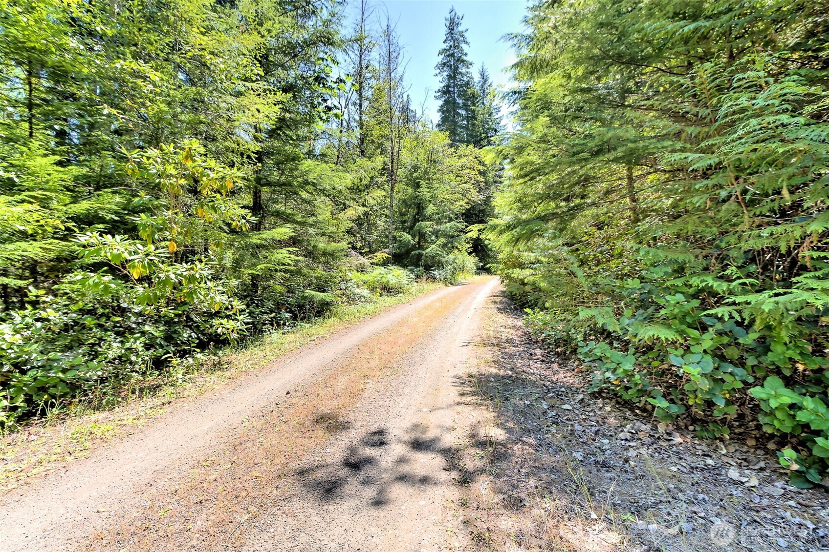 0 NE Eagle Creek Lane