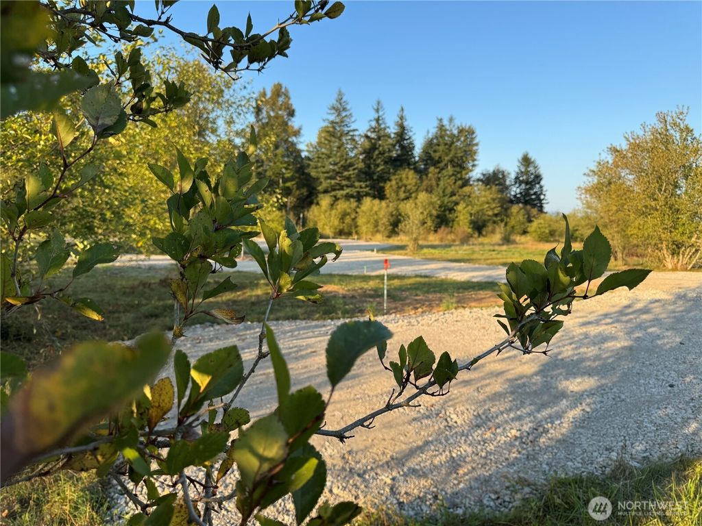 Photo of 3580 Arnie Road, Custer, WA 98240 (MLS # 2476726)