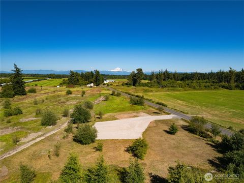 Photo of 3580 Arnie Road, Custer, WA 98240 (MLS # 2476726)