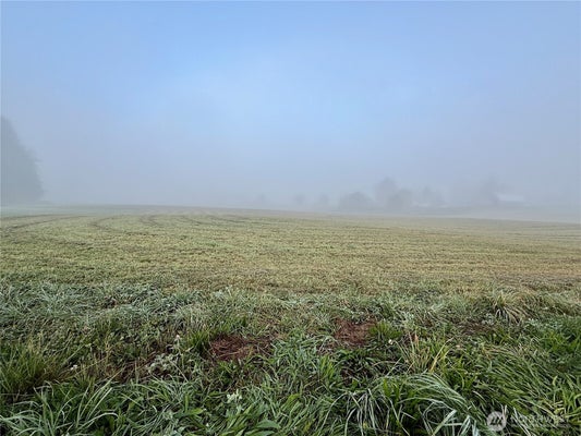 FRUITDALE RD, SEDRO-WOOLLEY, WA 98284 - Image bfb65cfa9be4e68920fb3a7043bdb061/180606144