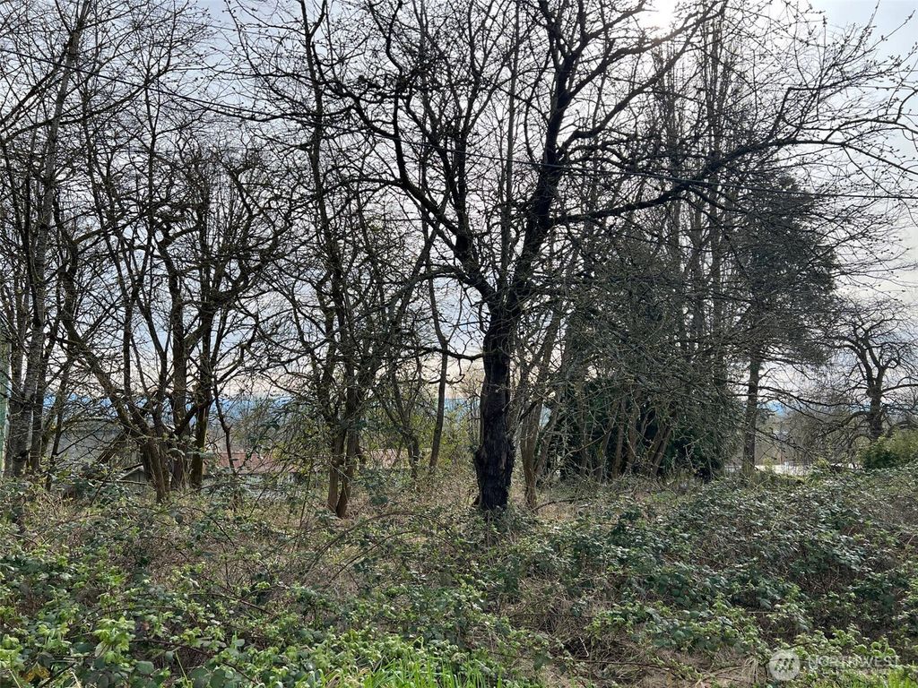Photo of 4211 S 3rd Avenue, Everett, WA 98203 (MLS # 2369490)