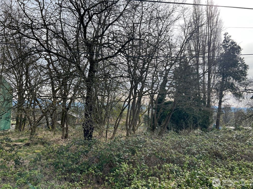Photo of 4211 S 3rd Avenue, Everett, WA 98203 (MLS # 2369490)
