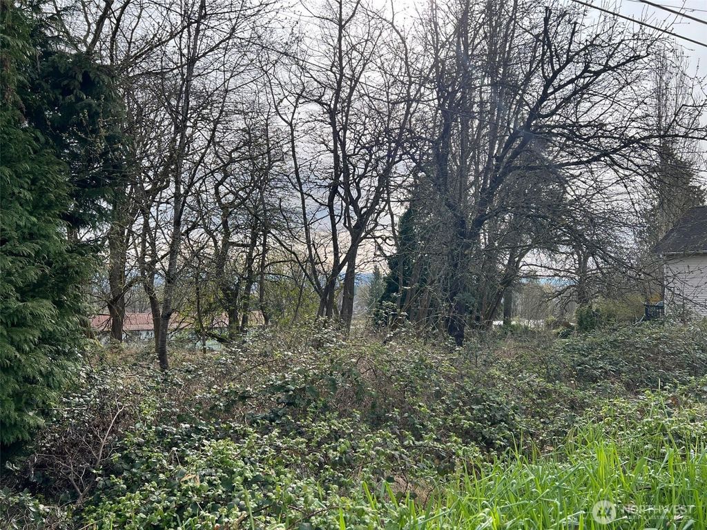 Photo of 4211 S 3rd Avenue, Everett, WA 98203 (MLS # 2369490)
