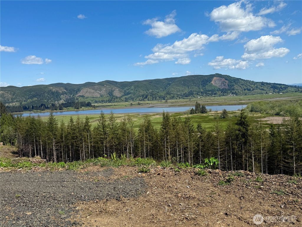 Photo of 8466 Us Highway 101, South Bend, WA 98586 (MLS # 2517250)