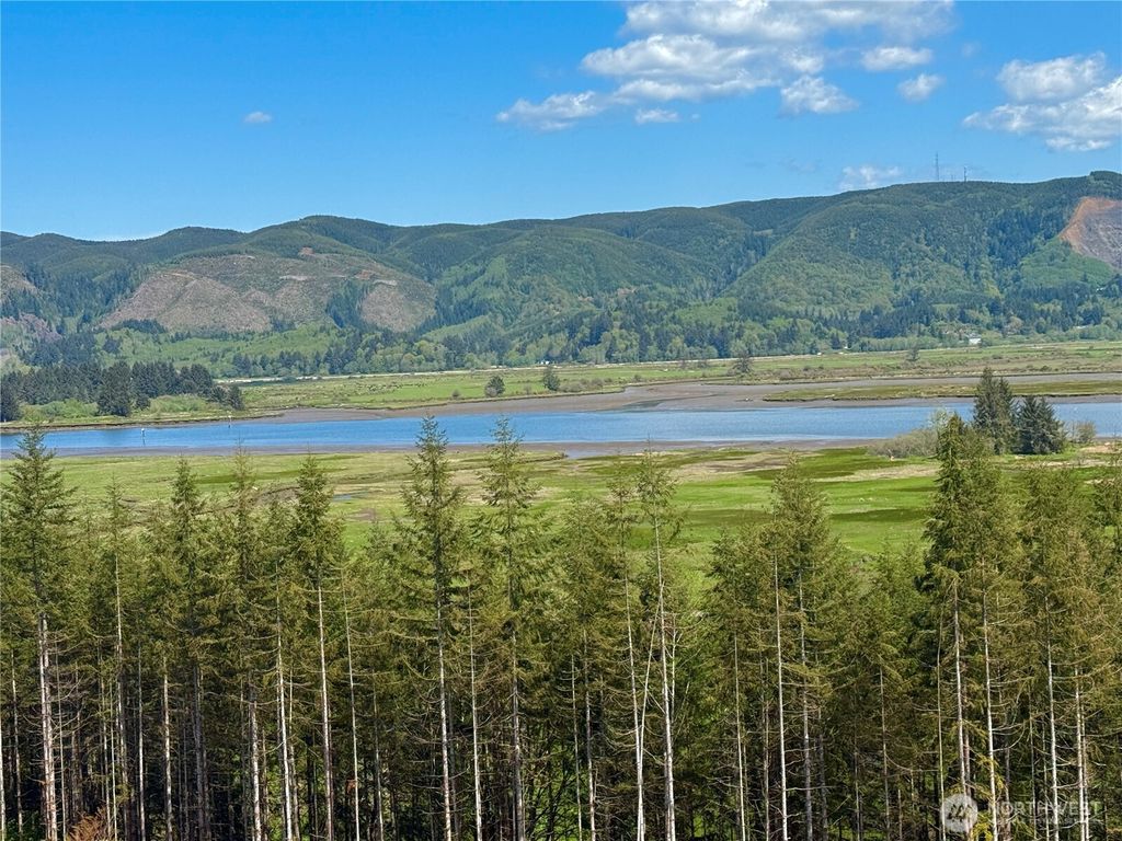 Photo of 8466 Us Highway 101, South Bend, WA 98586 (MLS # 2517250)