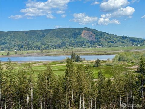 Photo of 8466 Us Highway 101, South Bend, WA 98586 (MLS # 2517250)