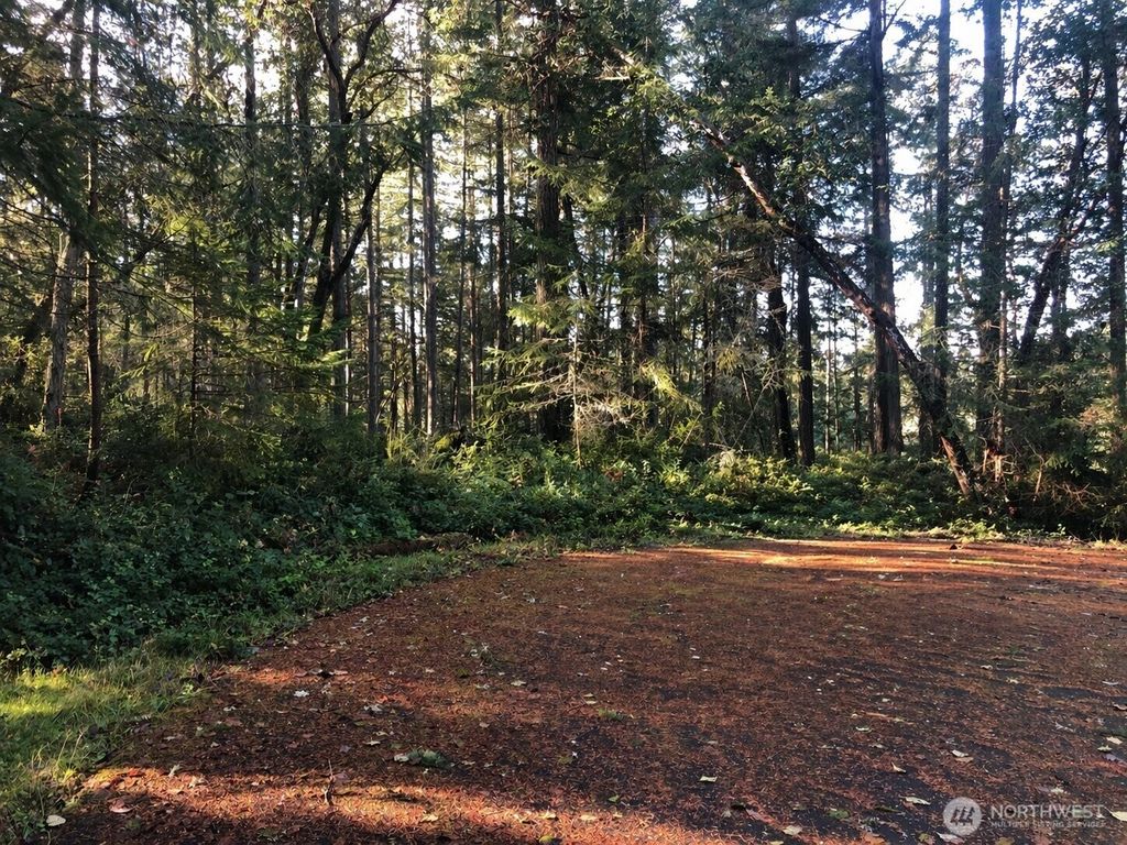 Photo of 9501 116th Avenue Ct, Anderson Island, WA 98303 (MLS # 2522520)