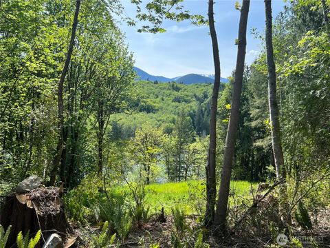 2 Leland Valley Road W Quilcene WA 98376