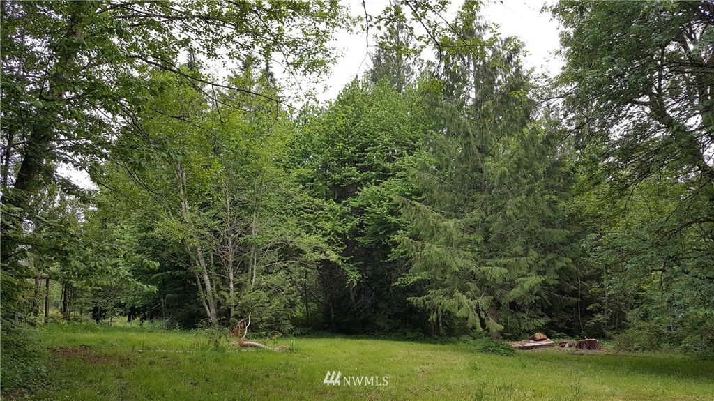 Photo of 263 XX SE 220 ST Street, Maple Valley, WA 98038 (MLS # 1295726)