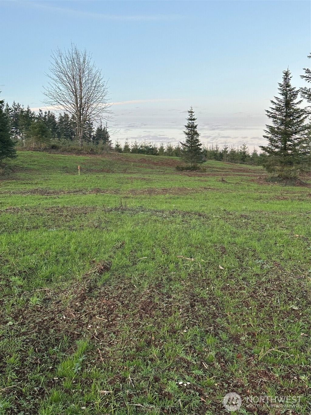 Photo of 232 Suncrest Drive, Castle Rock, WA 98611 (MLS # 2468127)