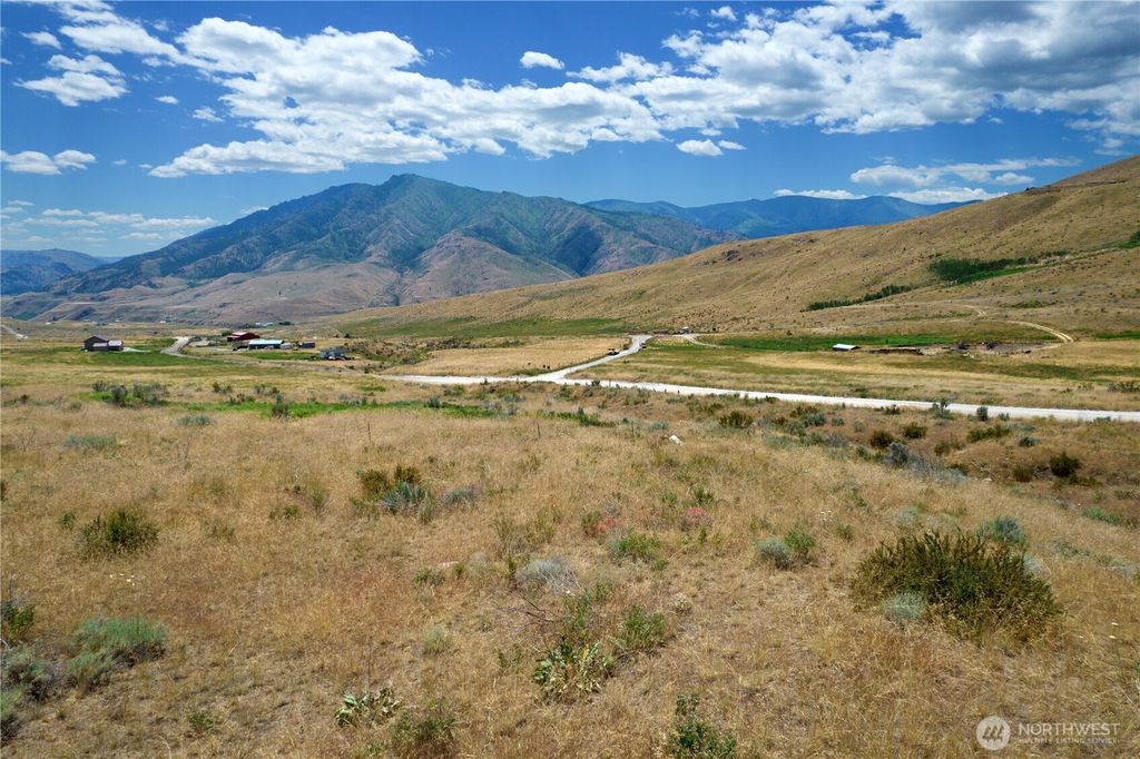 Photo of 0 NNA Bill Shaw Road, Pateros, WA 98846 (MLS # 2458040)