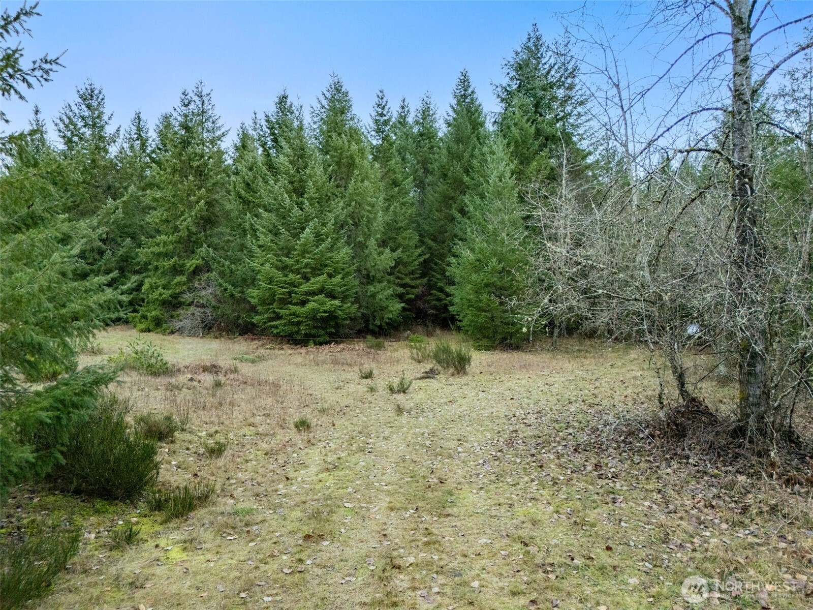 17011 226th Avenue E