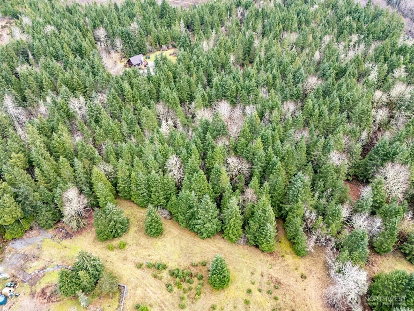 17011 226th Avenue E