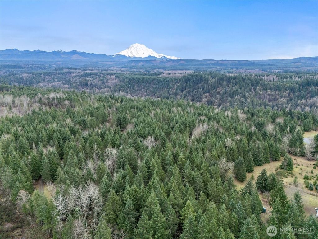Photo of 17011 226th Avenue E, Orting, WA 98360 (MLS # 2472237)