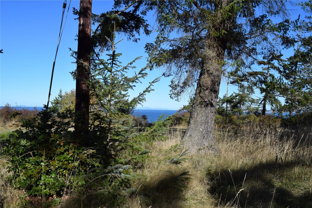 Photo of 0 Corner of Cook Ave. and 53rd, Port Townsend, WA 98368 (MLS # 2598017)