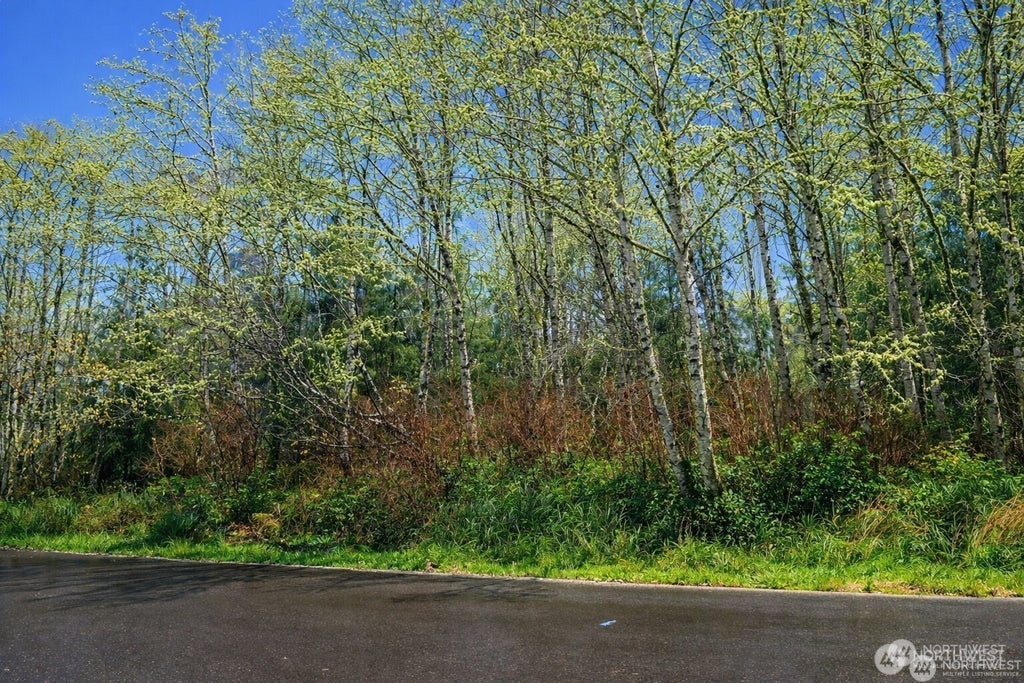 Photo of 821 Duck Lake Drive NE, Ocean Shores, WA 89569 (MLS # 2570081)