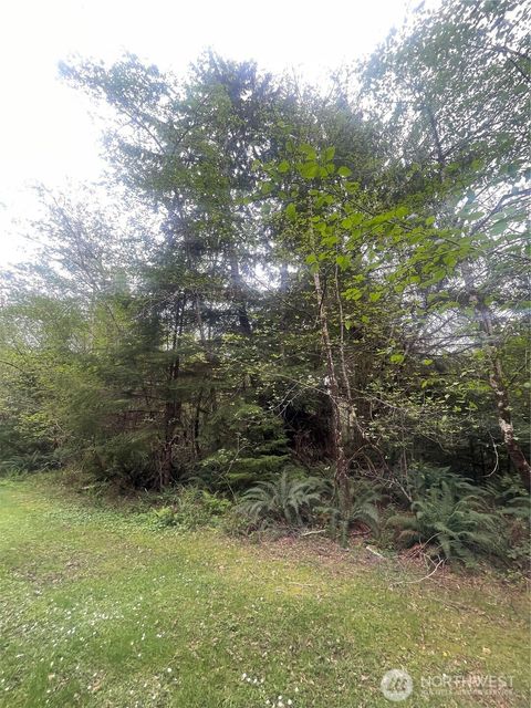 Photo of 0 Lot 42 Bay Lane, South Bend, WA 98586 (MLS # 2517437)