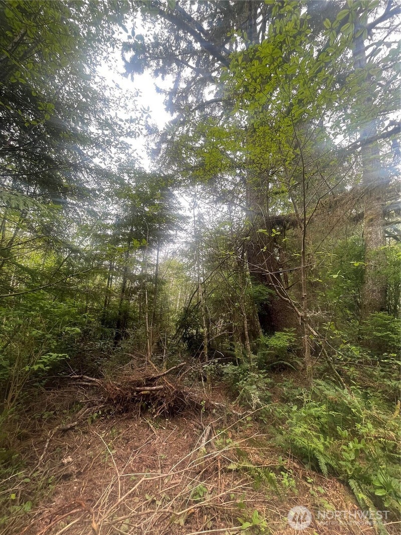 0 Bay Lane