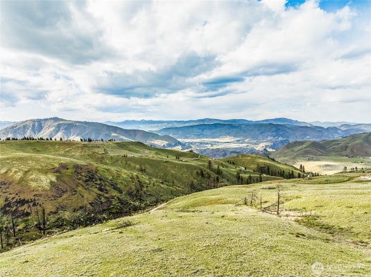 10 CHELAN HILLS ACRES RD LOT 9, ORONDO, WA 98843 - Image c0a20ee065a8f383b953b84a3df2c721/3919420829