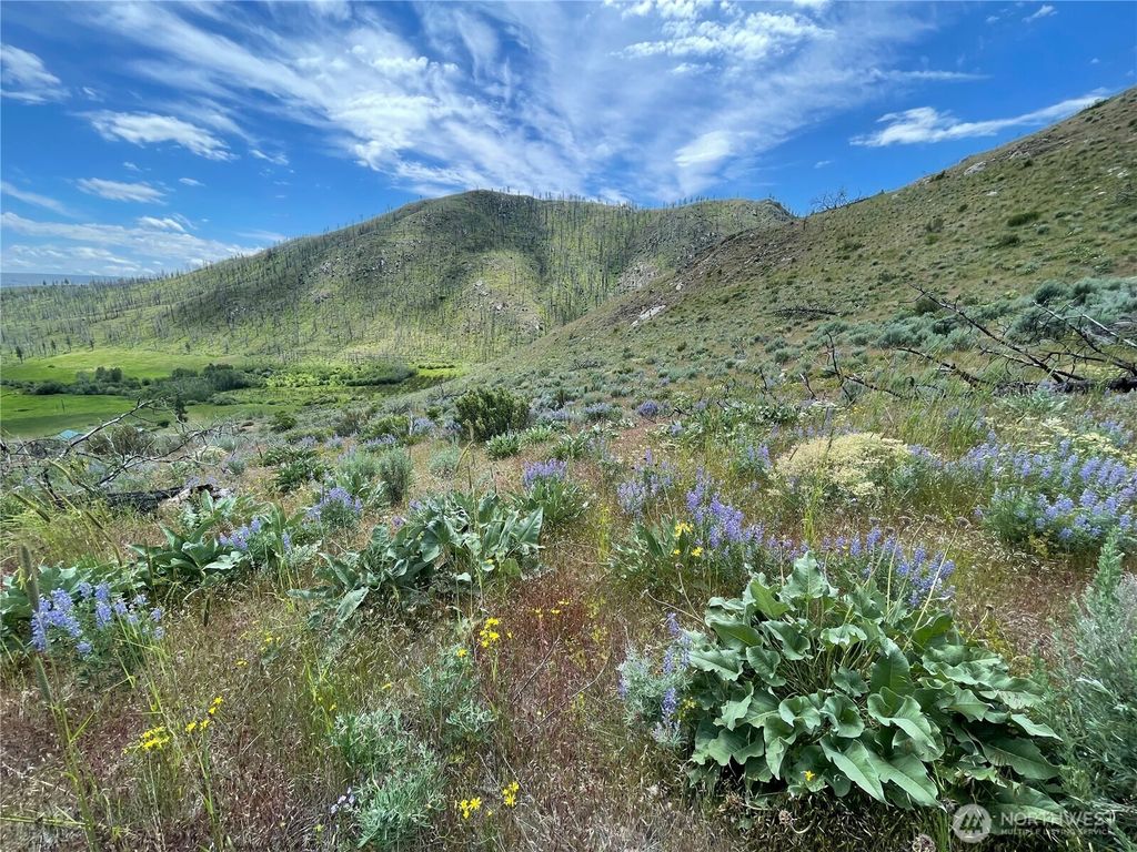 Photo of 436 Antoine Creek Road #Lot I, Chelan, WA 98816 (MLS # 2496500)