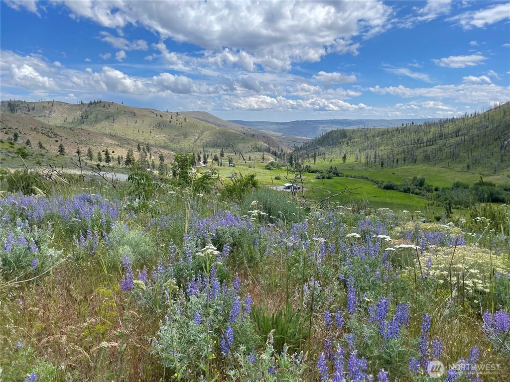 Photo of 436 Antoine Creek Road #Lot I, Chelan, WA 98816 (MLS # 2496500)