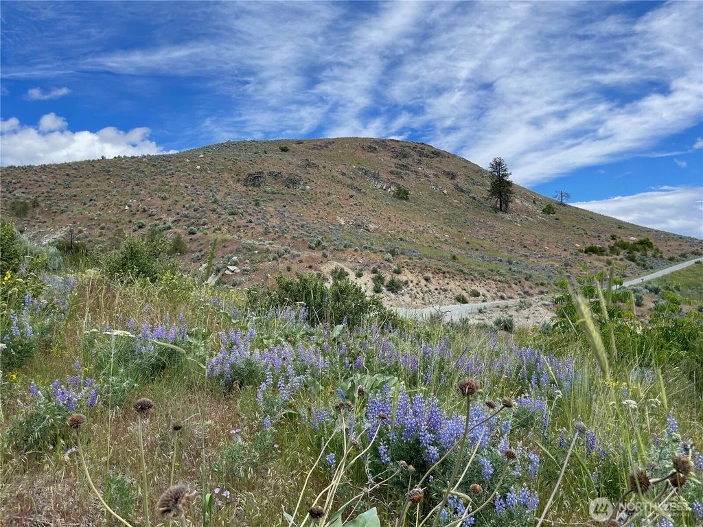Photo of 436 Antoine Creek Road #Lot I, Chelan, WA 98816 (MLS # 2496500)
