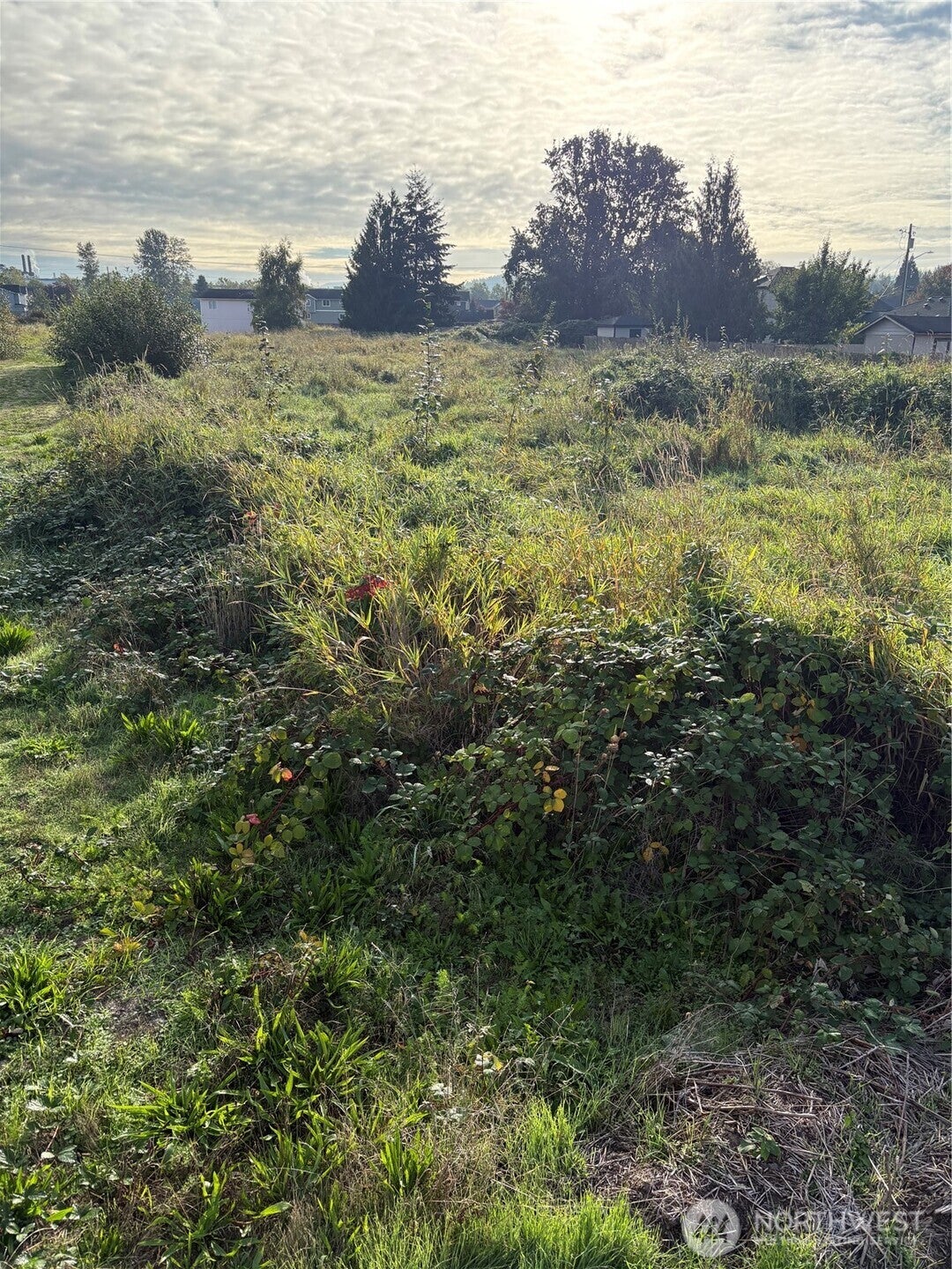 316 3rd Avenue N