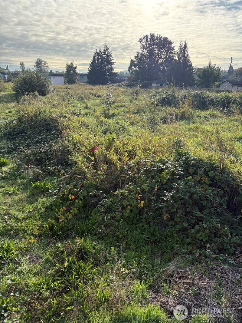 316 3rd Avenue N