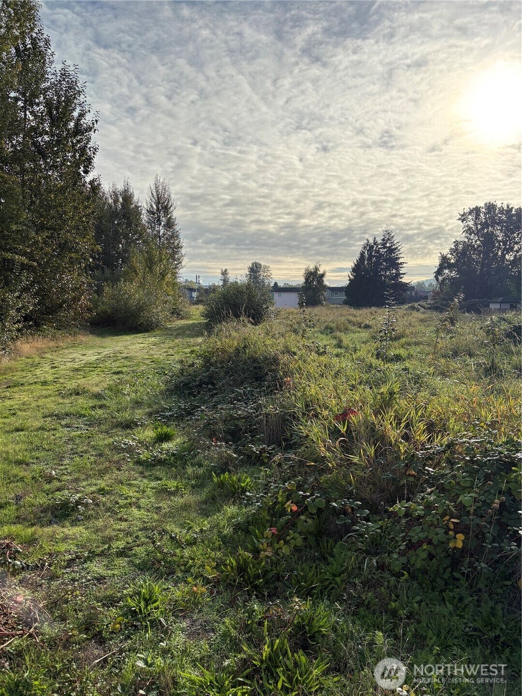 Photo of 316 3rd Avenue N, Algona, WA 98001 (MLS # 2587239)