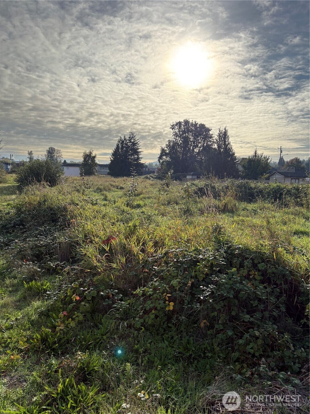 Photo of 316 3rd Avenue N, Algona, WA 98001 (MLS # 2587239)