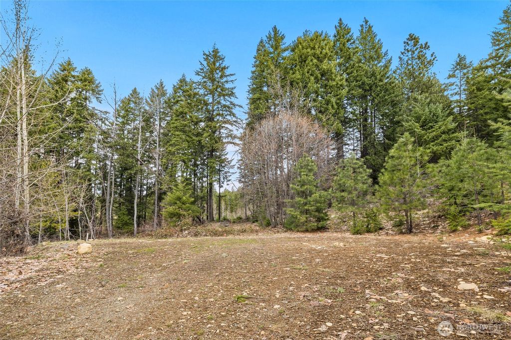 Photo of 33 Lakeside Court, Ronald, WA 98940 (MLS # 2503503)