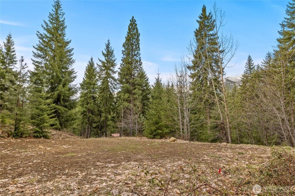 33 LAKESIDE CT, RONALD, WA 98940 - Image c0e40a88ee2bb16dce65fb4e53cfe237/3539946322