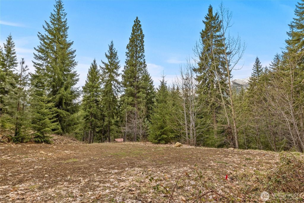 Photo of 33 Lakeside Court, Ronald, WA 98940 (MLS # 2503503)