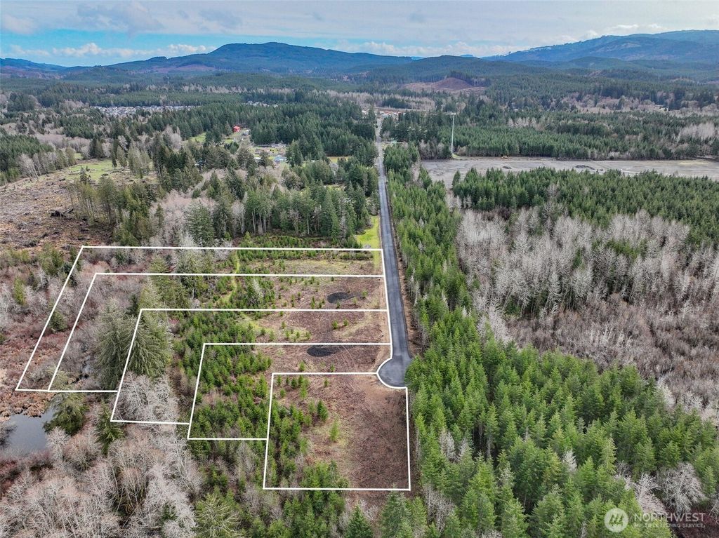 Photo of 0 Lot 5 Larson Road, McCleary, WA 98557 (MLS # 2492408)