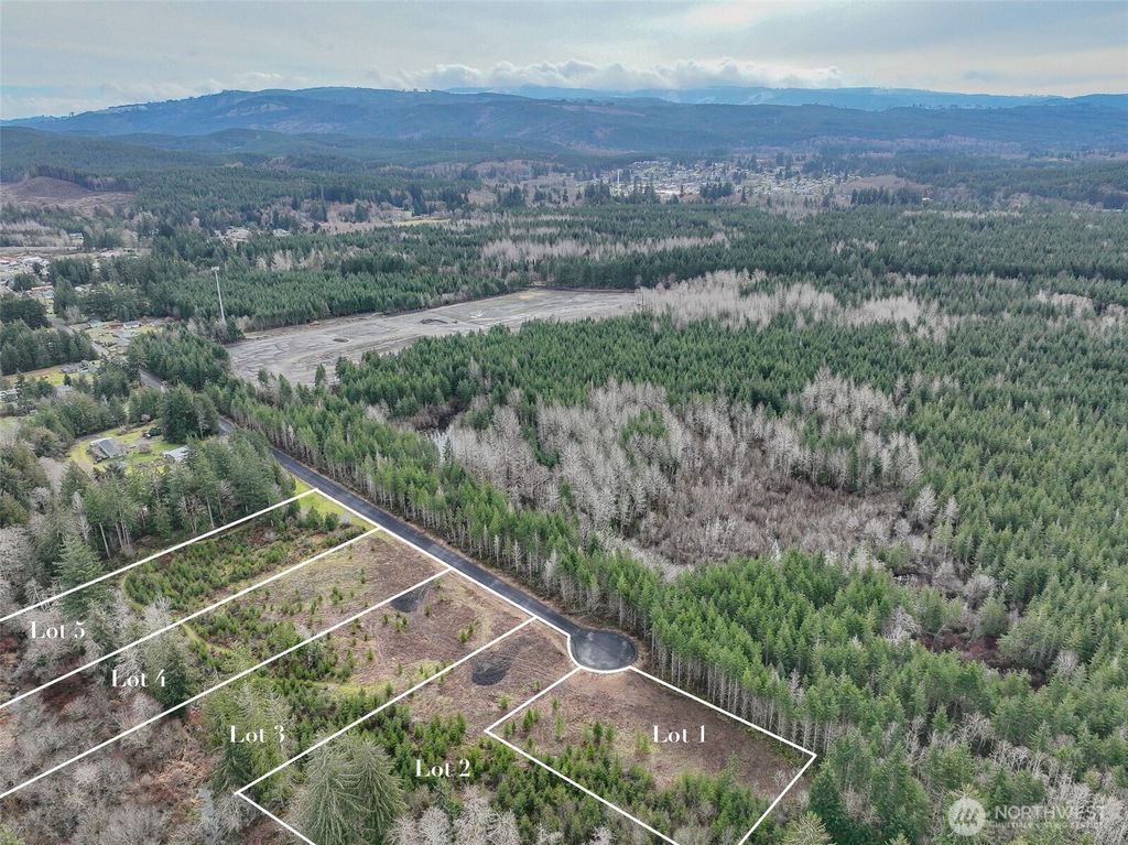 Photo of 0 Lot 5 Larson Road, McCleary, WA 98557 (MLS # 2492408)