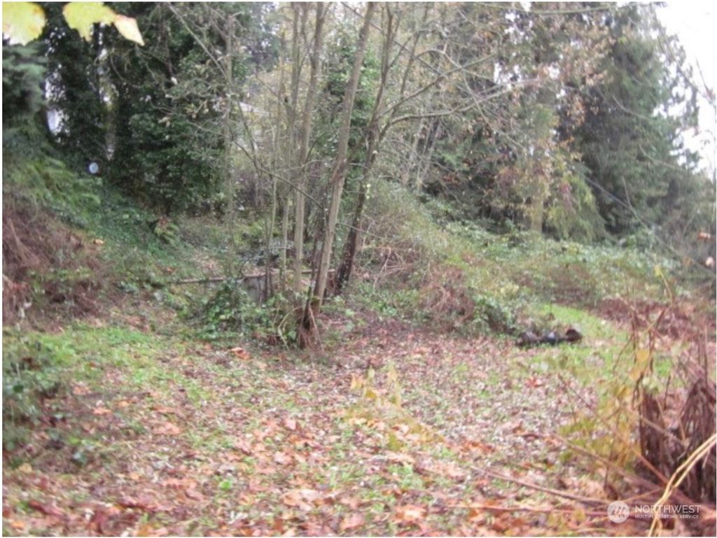 Photo of 11131 50th Avenue S, Tukwila, WA 98178 (MLS # 2070225)