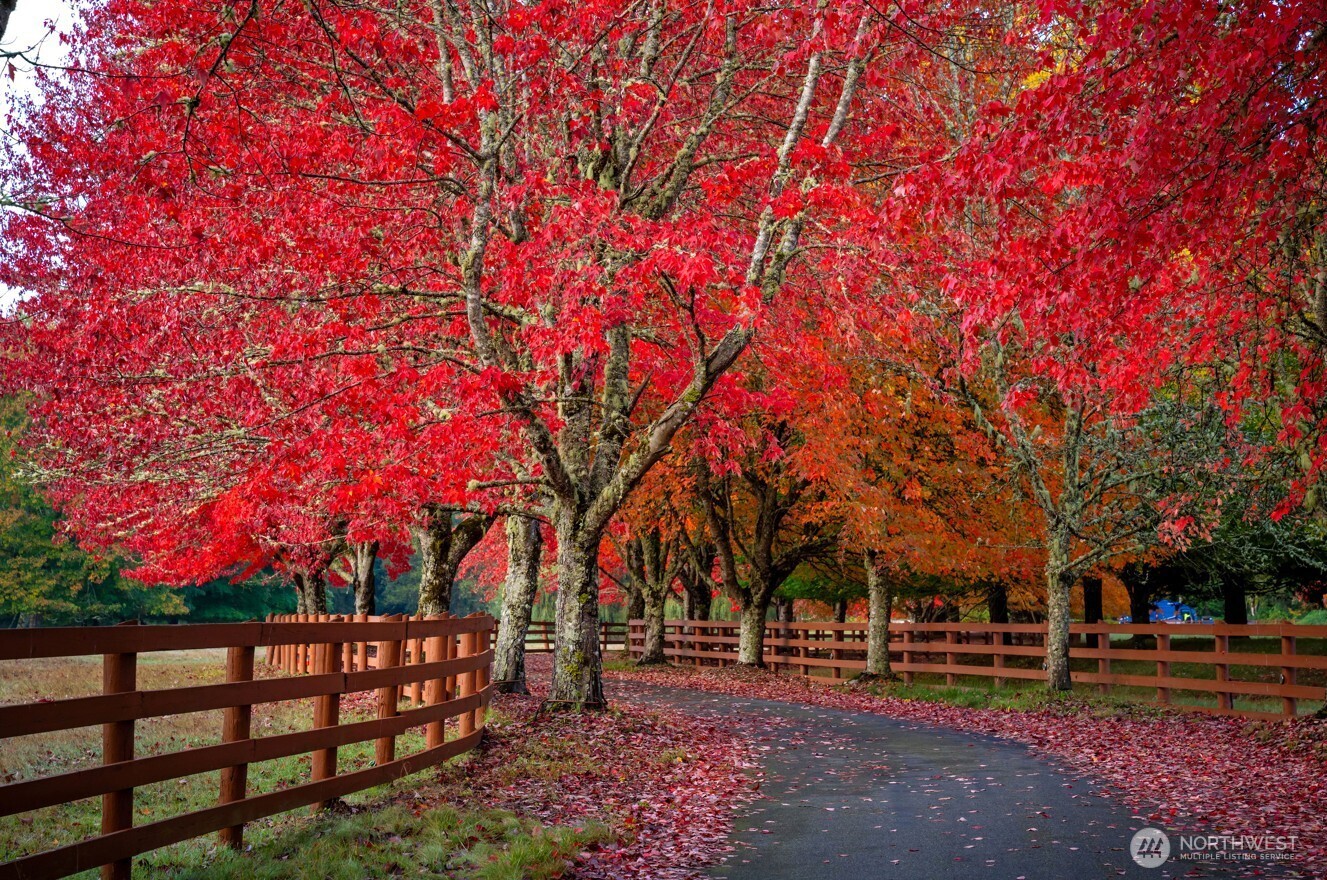 8100 428th Avenue SE