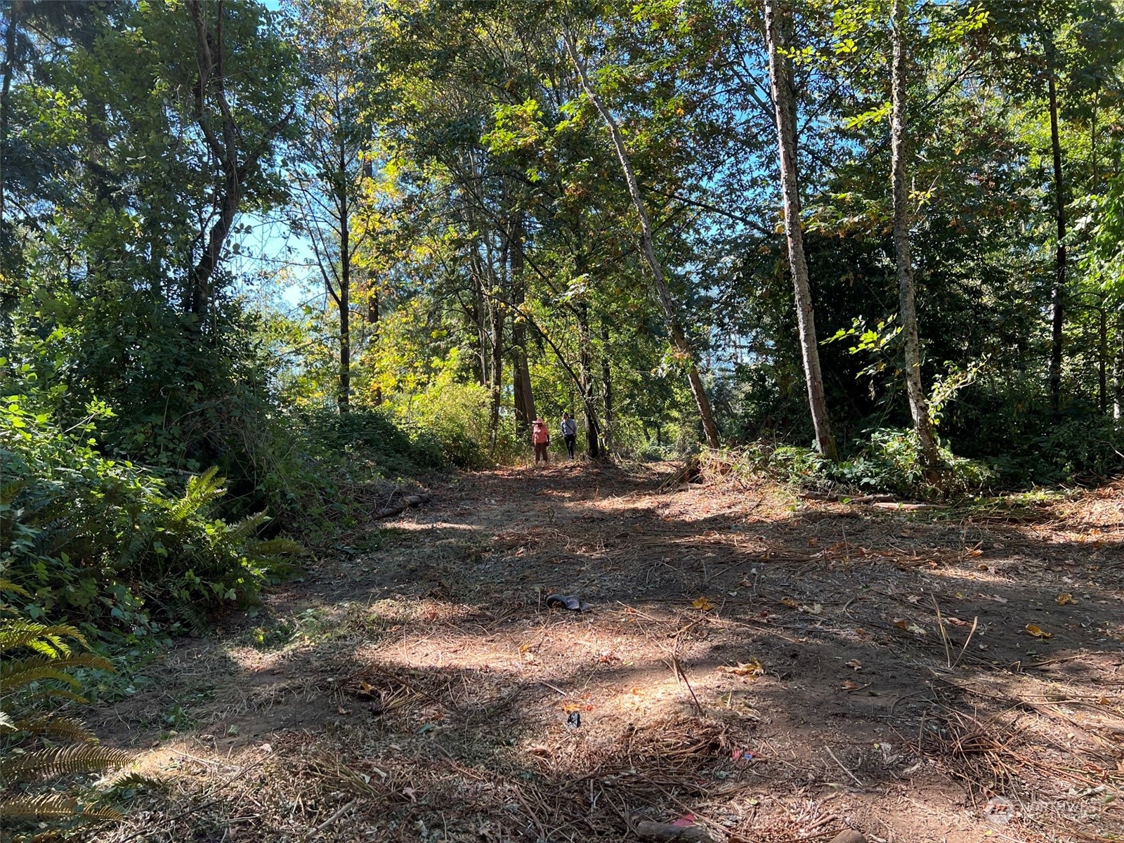 7704 E Golden Given Rd E