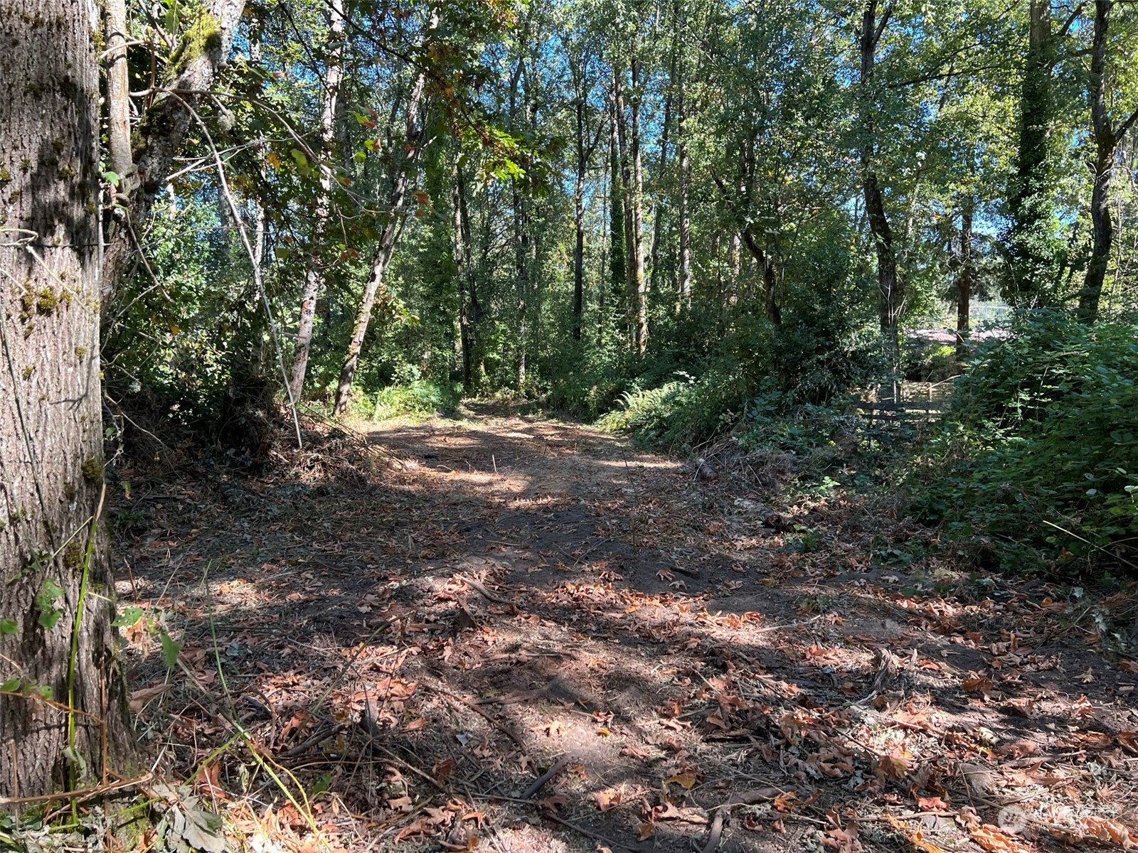 7704 E Golden Given Rd E