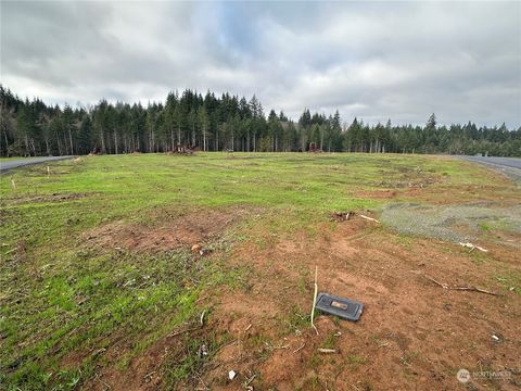 214 Ash Mountain Drive Castle Rock WA 98611