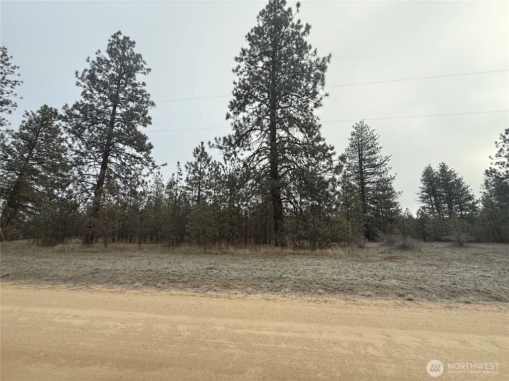 Photo of 0 Cayuse Cove Road N, Davenport, WA 99122 (MLS # 2474718)