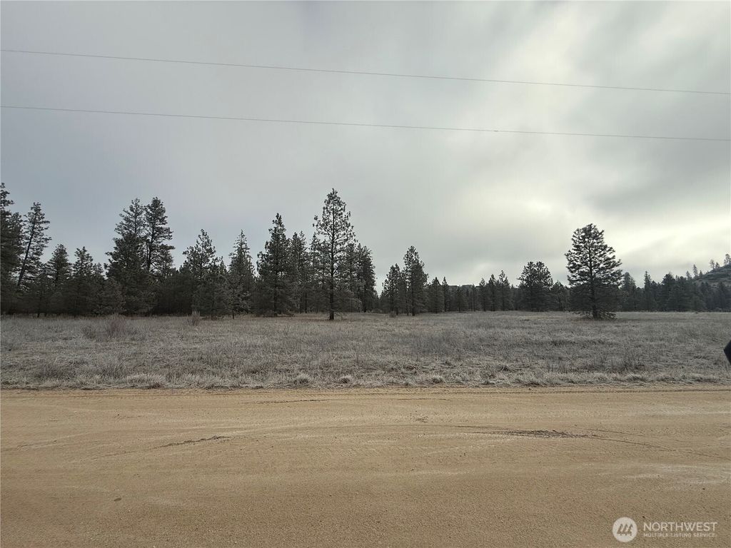 Photo of 0 Cayuse Cove Road N, Davenport, WA 99122 (MLS # 2474718)