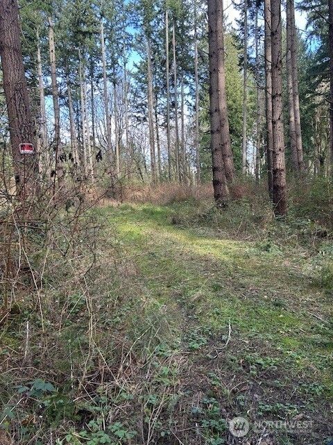 Photo of 0 XXX Hellman Road, Clinton, WA 98236 (MLS # 2491382)