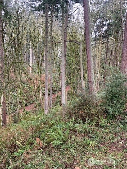 Photo of 0 XXX Hellman Road, Clinton, WA 98236 (MLS # 2491382)
