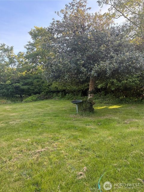 Photo of 1408 256th Lot 375 Place, Ocean Park, WA 98640 (MLS # 2528767)