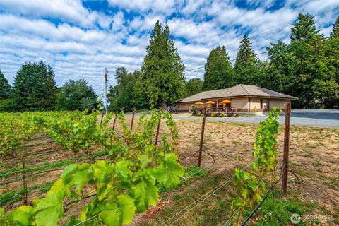 Photo of 4290 Mt Baker Highway, Everson, WA 98247 (MLS # 2437176)