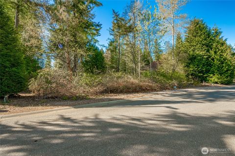 Photo of 8647 Great Horned Owl Lane, Blaine, WA 98230 (MLS # 2516138)